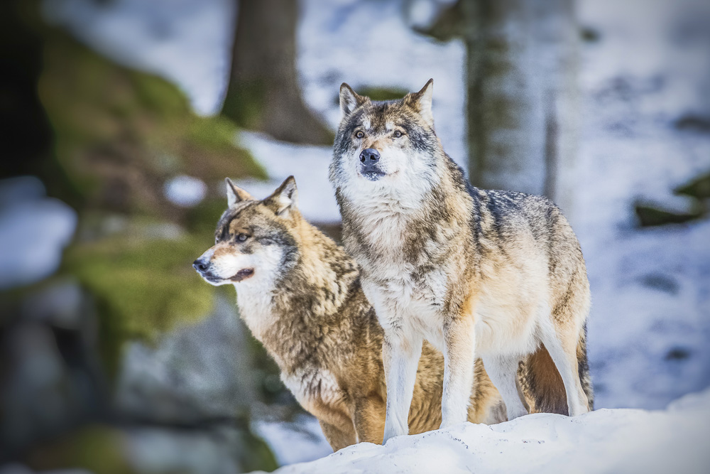 Platz 7 Conny Kleiner